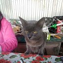 ���� ����, ����, 42 ���� - ��������� 8 ������ 2026