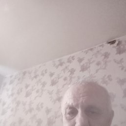 ������, �����, 65 ���