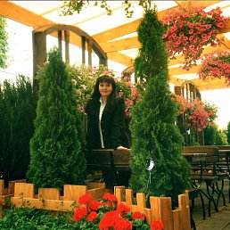 ������, ���������