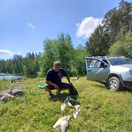 ����, ������������, 43 ����