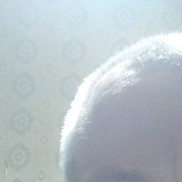 �������, ���������, 43 ����