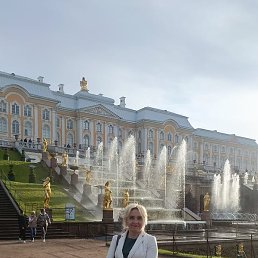 �������, �����-���������, 61 ���