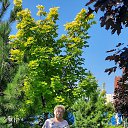 ���� �����, ������-���, 72 ���� - ��������� 21 ����� 2024 � ������ ���� ����������