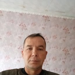 , 43 , 