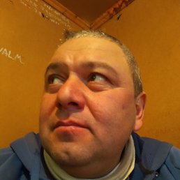 ��������, �����-���������, 50 ���