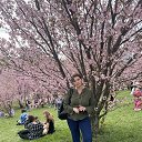 ���� ������, �������, 55 ��� - ��������� 20 ������ 2025 � ������ ���� ����������