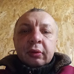 ����, ������, 41 ���