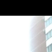 �������, 41 ���, ������