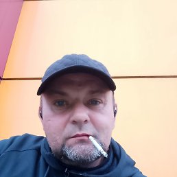 ������, 41 ���, ������