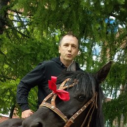 ���� ��������, ������, 55 ��� - ��������� 11 ���� 2025