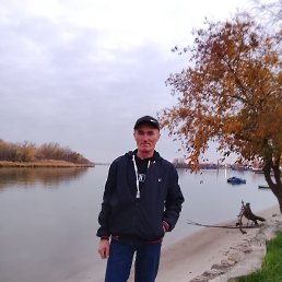 �����, 52 ����, ����