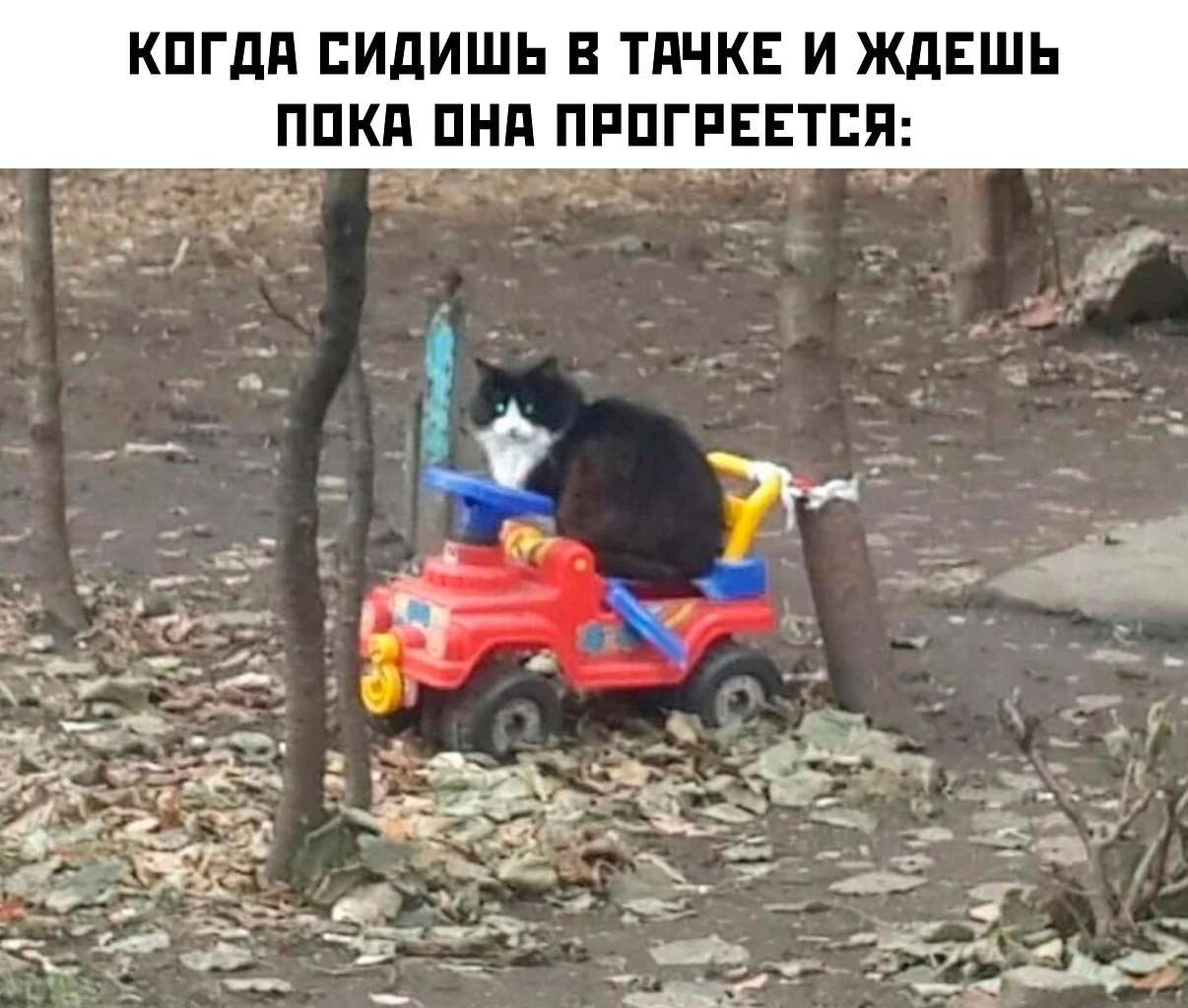  - 1  2025  19:54