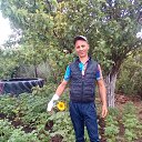 ���� ����, ��������, 42 ���� - ��������� 12 ������� 2024