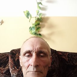 , 53, 