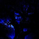 ���� Giovanni, �����-��������� - ��������� 8 ������� 2025 � ������ ������ ��������