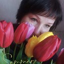 ���� �������, ������, 54 ���� - ��������� 12 ����� 2025 � ������ ���� ����������