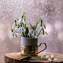���� ��nya, ������ - ��������� 8 ������� 2026 � ������ ���� ����������