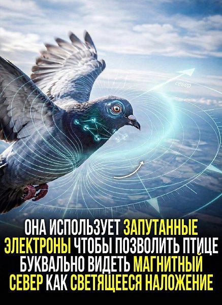 ������ ���������� ���������� ��������� ������� � ������ ���������� ����. ������������� ������������� ... - 4