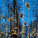 ���� ������, ��������, 49 ��� - ��������� 15 ������ 2024 � ������ ���� ����������