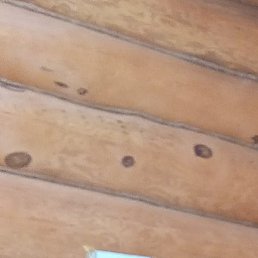 �������, ���������, 41 ���