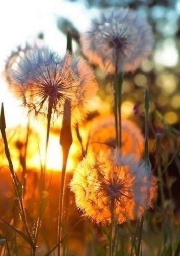 ������ ���� �� ����� ���� �������, �� ���� ���-�� ������� � ������ ���. - 6