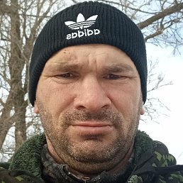 �����, ����, 36 ���