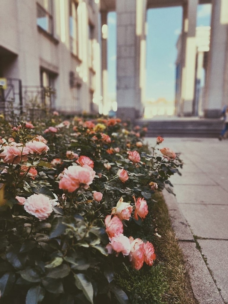   . ...:  