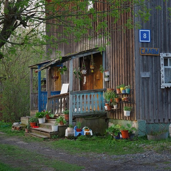 Весенний Коминтерн. Особенно хороши котики, согласны? Фото: Владимир Тыртов - 4