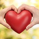 ���� Volf, ������ - ��������� 5 ������ 2023 � ������ ���� ����������