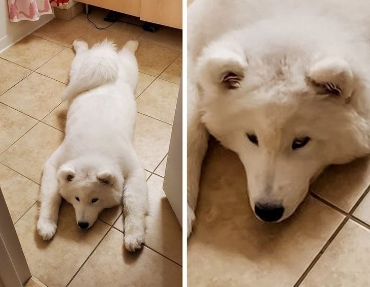 ���� ������ ���������� ������ � ������, � ����� ������ ������ ���������� ��� �������