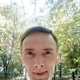 , 40, 