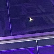 �����, 38 ���, ���������