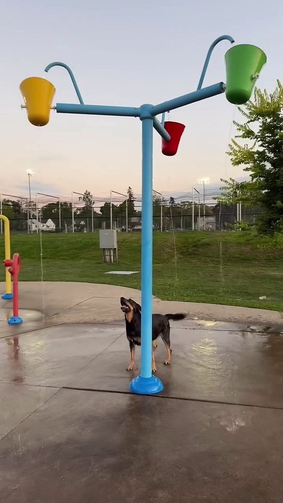 �� ������ ���� ����������!)