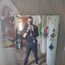 , 26, 