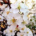 ���� ����, ����, 39 ��� - ��������� 14 ������� 2025 � ������ ������ ��������