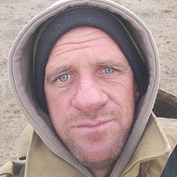 ��������, �������, 37 ���