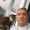 ���� ���������, ������, 62 ���� - ��������� 13 ������� 2025