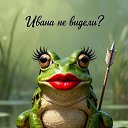 ���� ����, �����������, 73 ���� - ��������� 24 ������ 2026 � ������ ������ ��������
