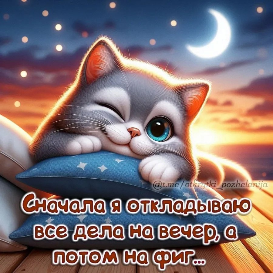 �������� ( �� �������� ��) - 25 ����� 2025 � 22:34
