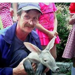 �������, �����, 57 ���