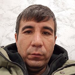 ��������, ����-���, 41 ���