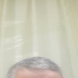 �����, 42 ����, ���������