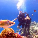 ���� ������, ������, 52 ���� - ��������� 20 ������� 2025 � ������ ���� ����������