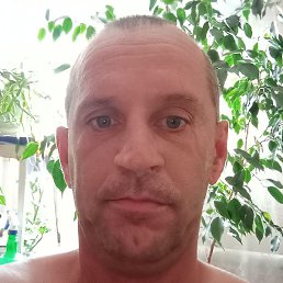 ����� ���������, ���������, 41 ���