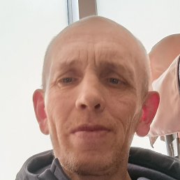 �����, ���������, 39 ���