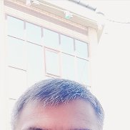 ����, 43 ����, ���������