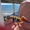 ���� ����� Li, ������, 52 ���� - ��������� 12 ������� 2026 � ������ ���� ����������