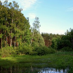 �������, ��������������, 67 ���