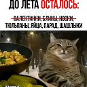 ���� �����, ������ ����� - ��������� 7 ����� 2026 � ������ ������ ��������