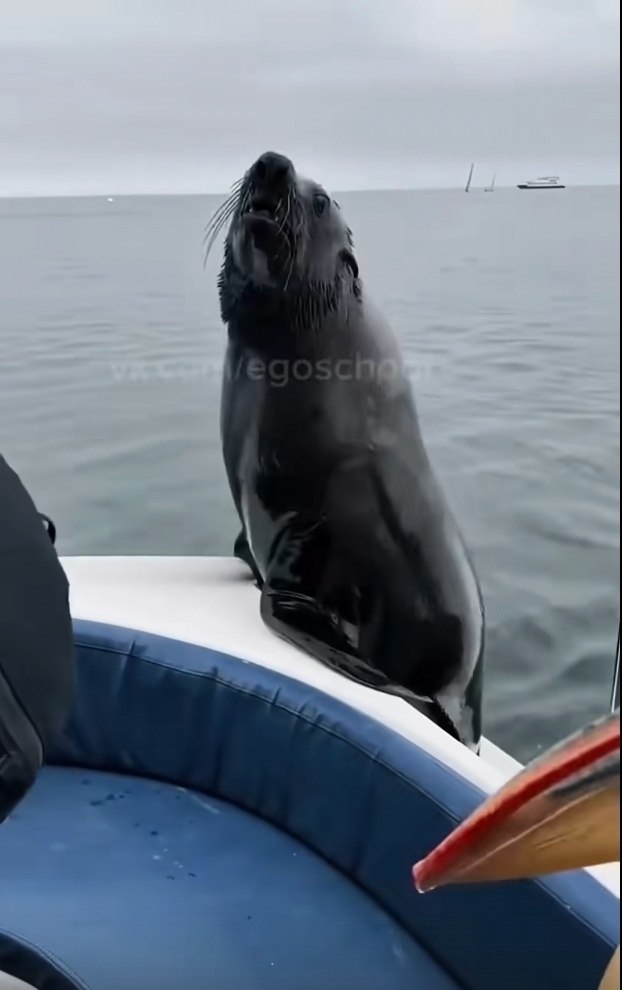 ��� ������ �������, � ������� ����� ������ ���� ����������. ������� ������� � ��� ��������� ���� ... - 2